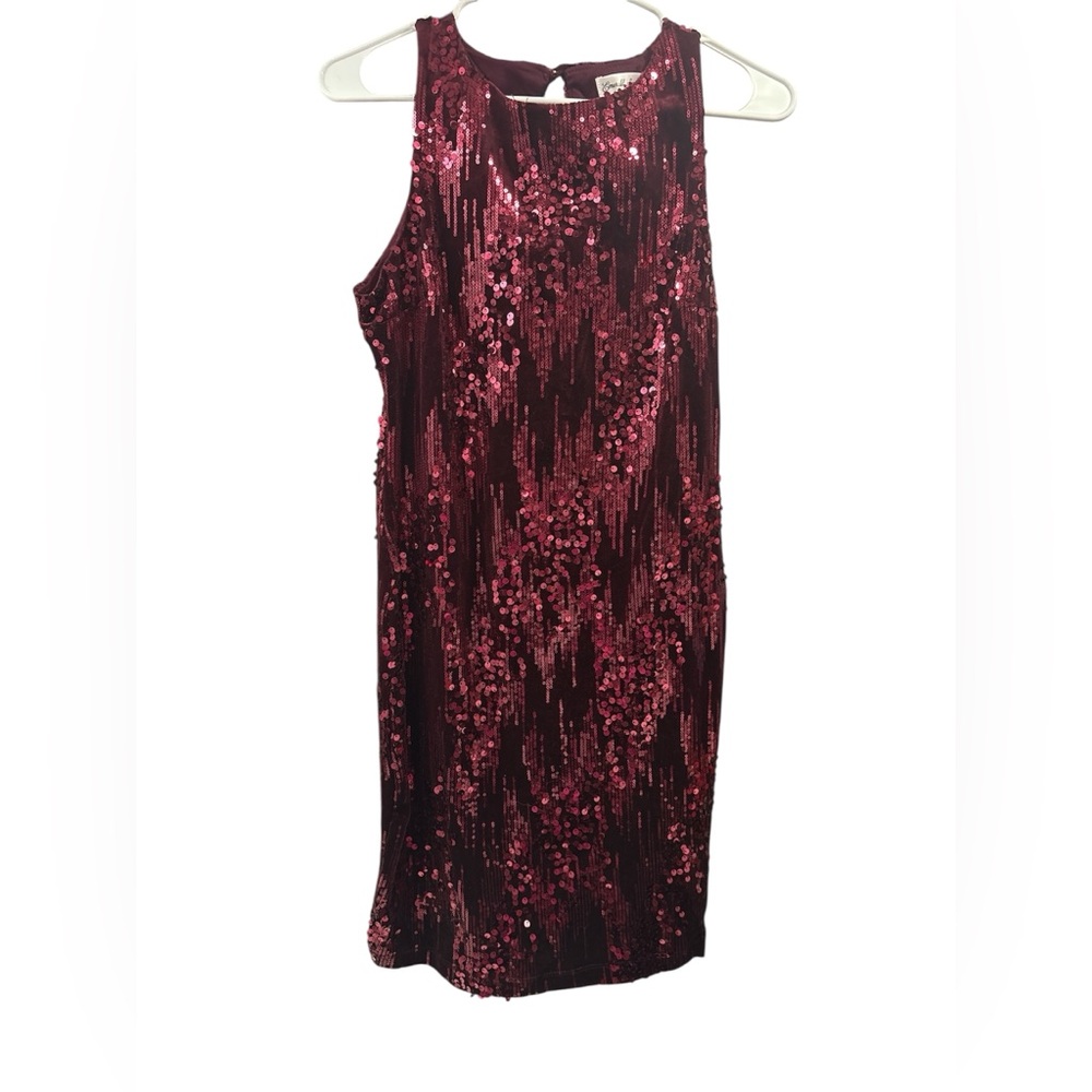 Emerald Sundae Burgundy Sequin Mini Dress